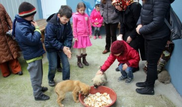 Sokak hayvanlarının Özel ziyaretçileri vardı