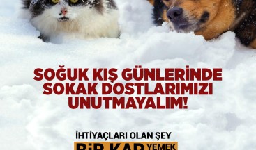 Soğuk havalarda onları unutmayın