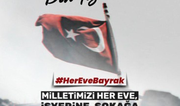 AK Gençlik Ilgaz’dan Her Eve Bayrak