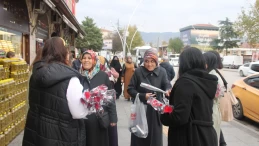 Avukatlar, Tokatlı kadınları şiddete karşı bilinçlendirmek için çalışma yaptı