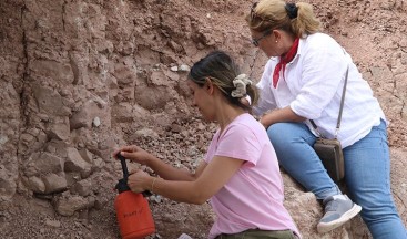 Çankırı Çorakyerler’de Bu Sezon Fosil Keşifleri Yapıldı