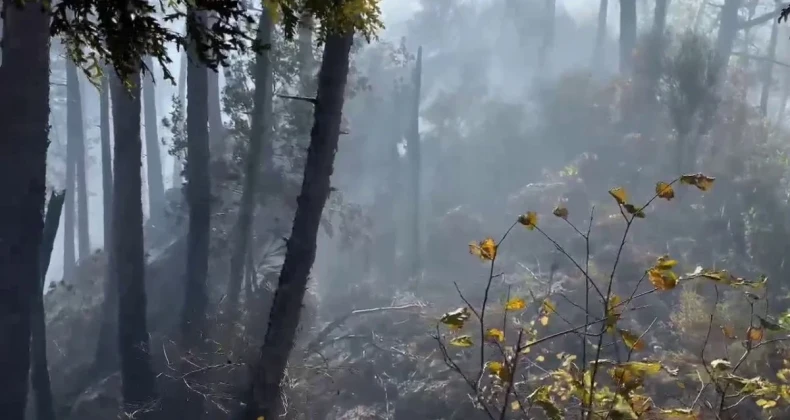 Ekipler havadan ve karadan müdahale ediyor