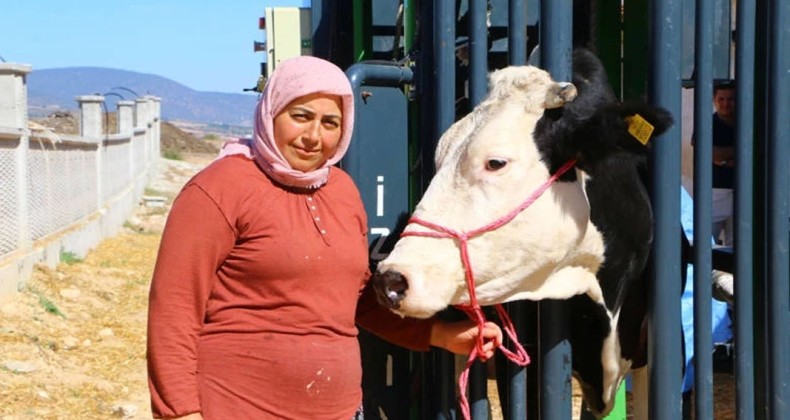 Antalyalı hayvan üreticisine destek