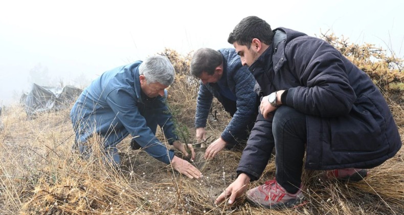 Isparta Belediyesi Gölcük Tabiat Parkı’nda fidanlar toprakla buluşturuldu