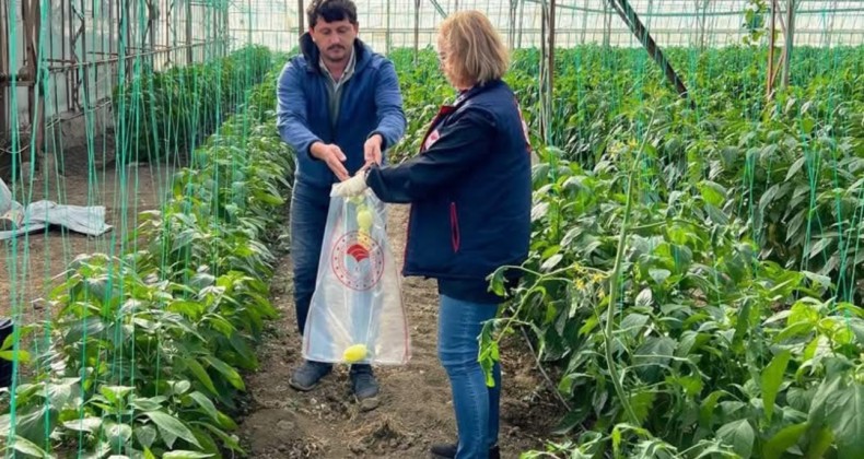 Antalya Demre’de Tarım ve Orman Müdürlüğü’nden sıkı denetim – Birlik Haber Ajansı