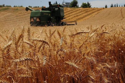 TARSİM’den çiftçiye indirim desteği – Birlik Haber Ajansı