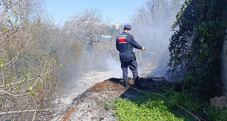 Antalya Manavgat’ta yangın tehlikesi – Birlik Haber Ajansı