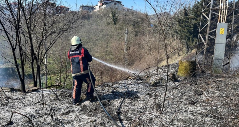 Ordu’da bahçe ve anız yangınları arttı – Birlik Haber Ajansı