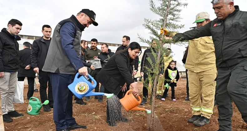 Yeşil Batman için fidan dikim seferberliği devam ediyor – Birlik Haber Ajansı