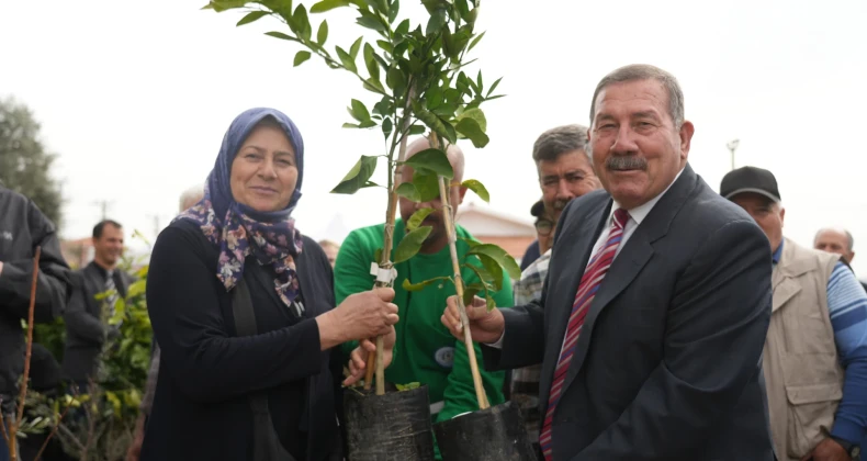 Milas Belediyesi üreticilere fidan desteği sağladı – Birlik Haber Ajansı